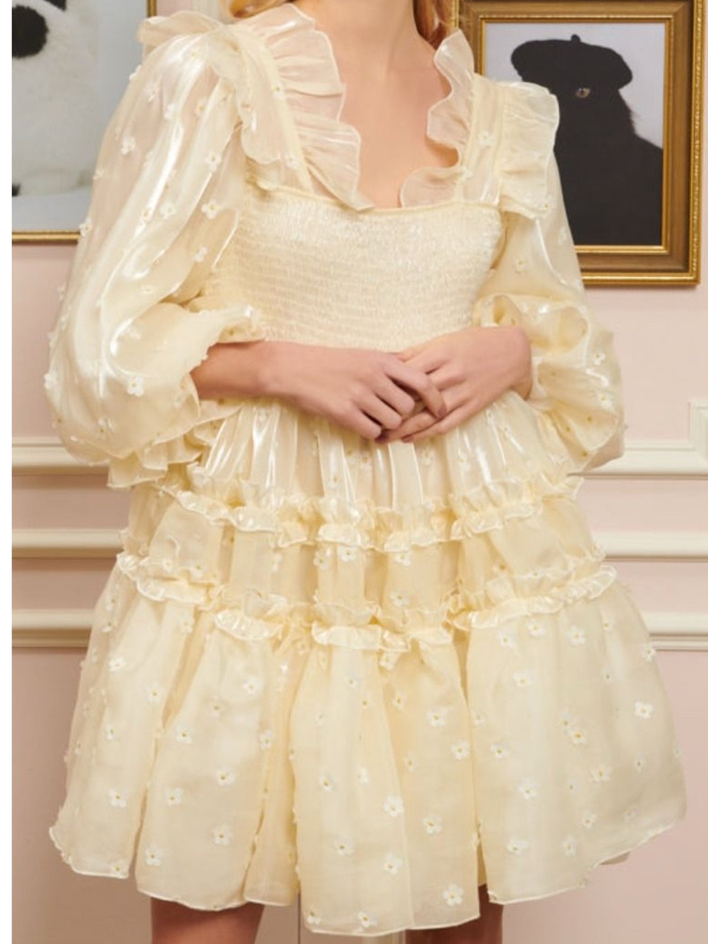 Sister Jane Sheer Ruffle Mini Dress in Cream